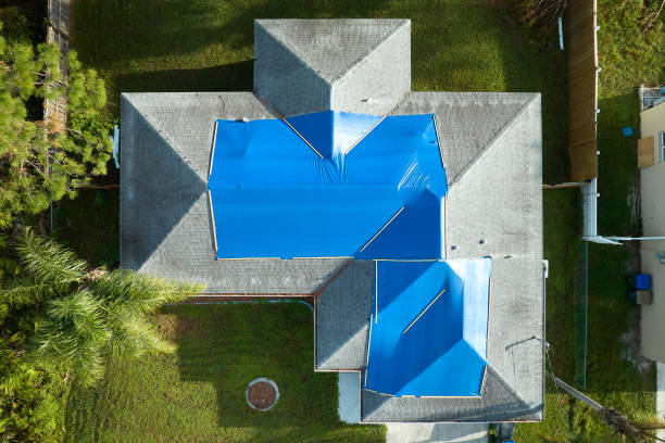 Best Steel Roofing  in Reedley, CA