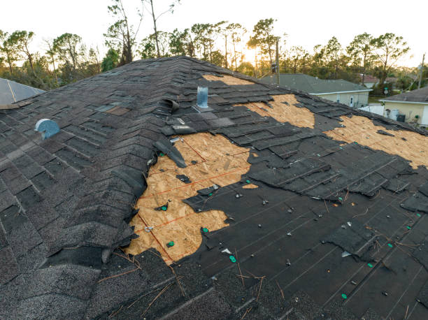 Best Hot Roofs  in Reedley, CA